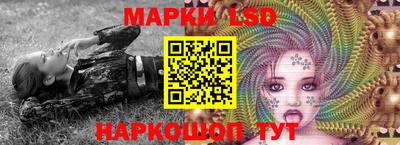 гидропоника Ипатово