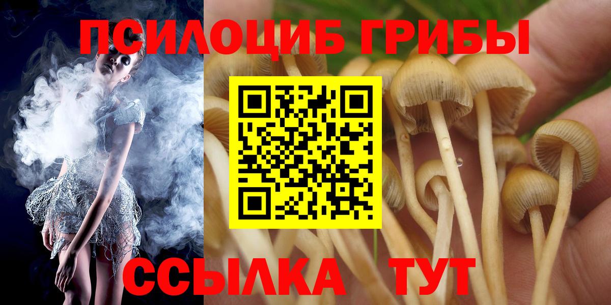 Псилоцибиновые грибы ЛСД Медногорск